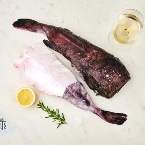 Verse zeeduivel met citroen en wijn